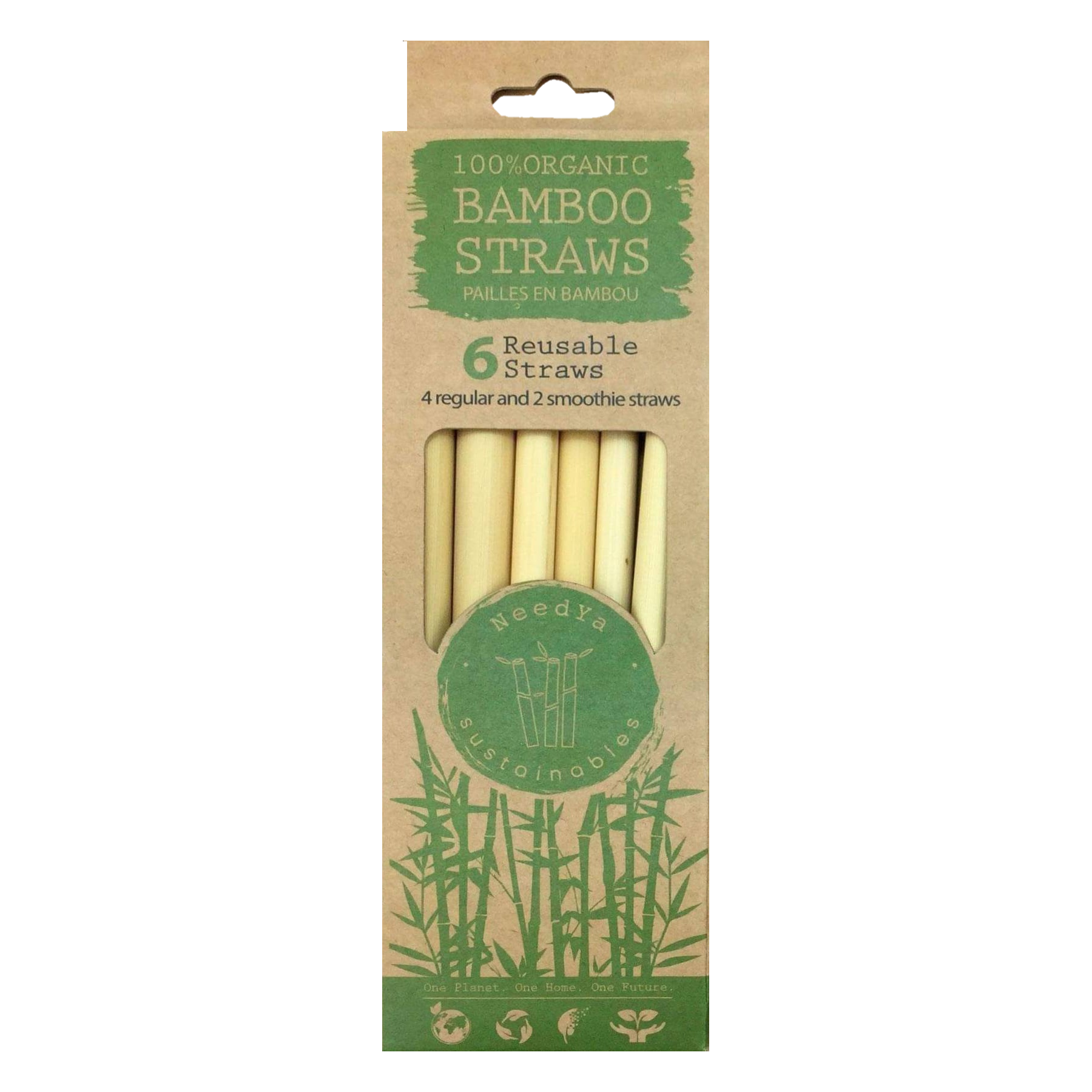 Bamboo Straws 6-Pack