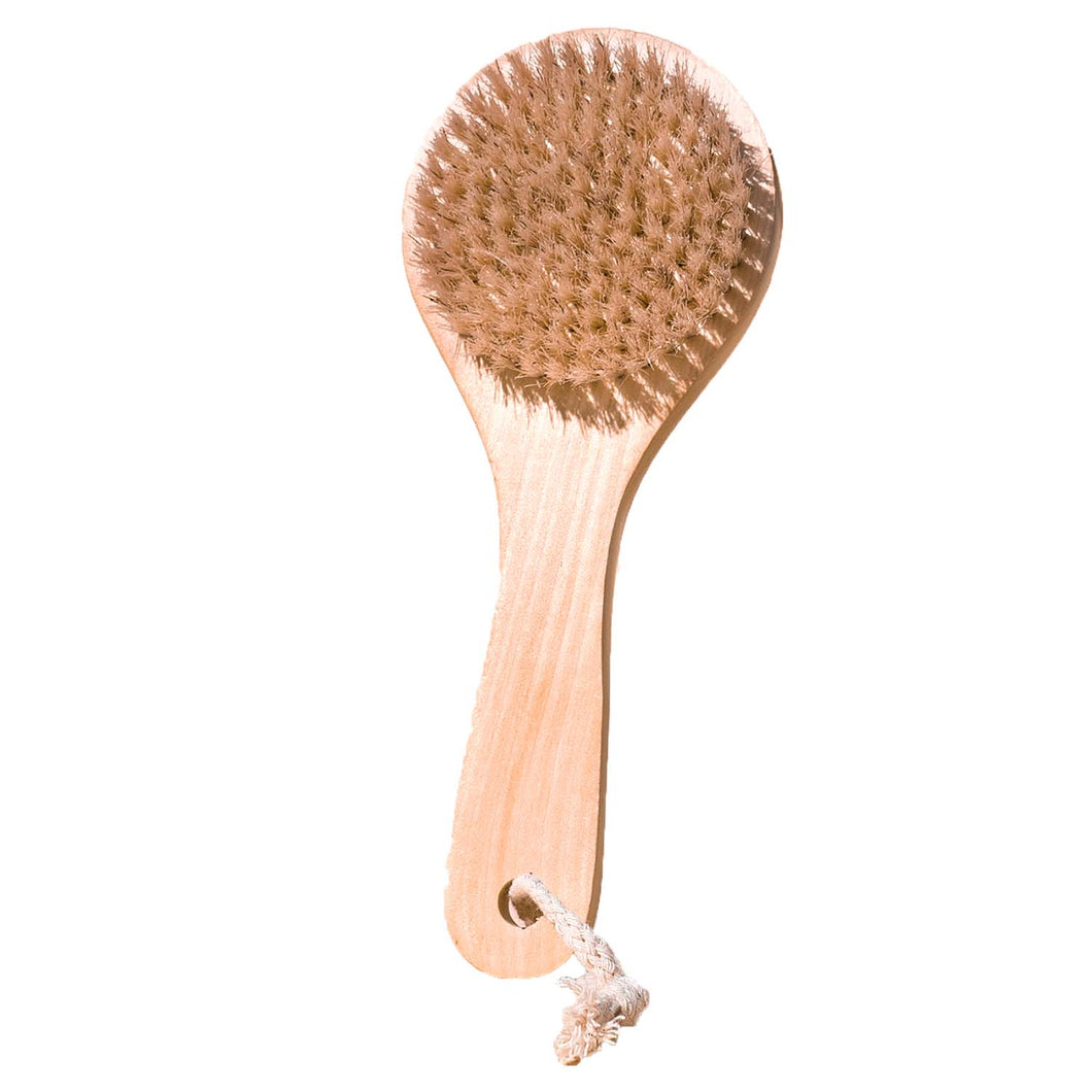 Midnight Paloma Body Dry Brush