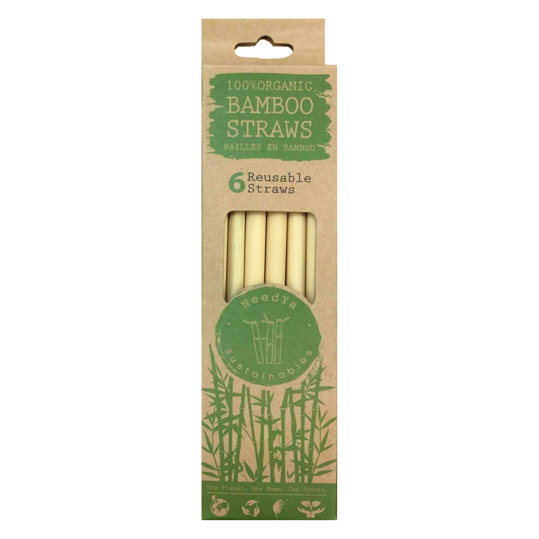 Organic Regular Bamboo Straws - 6-Pack
